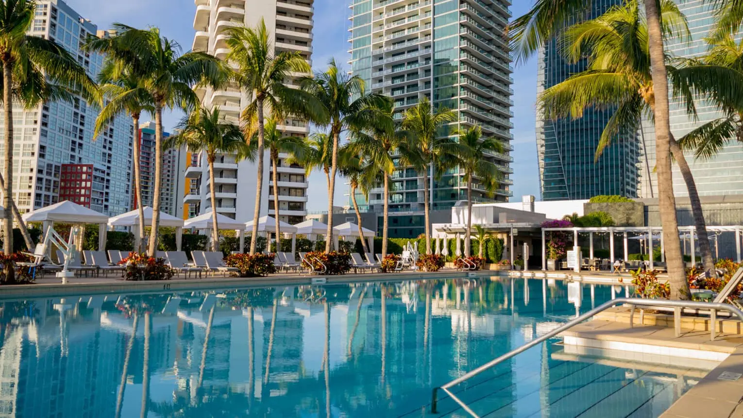 Four Seasons Residences pool deck with palm trees and city skyline in Miami.