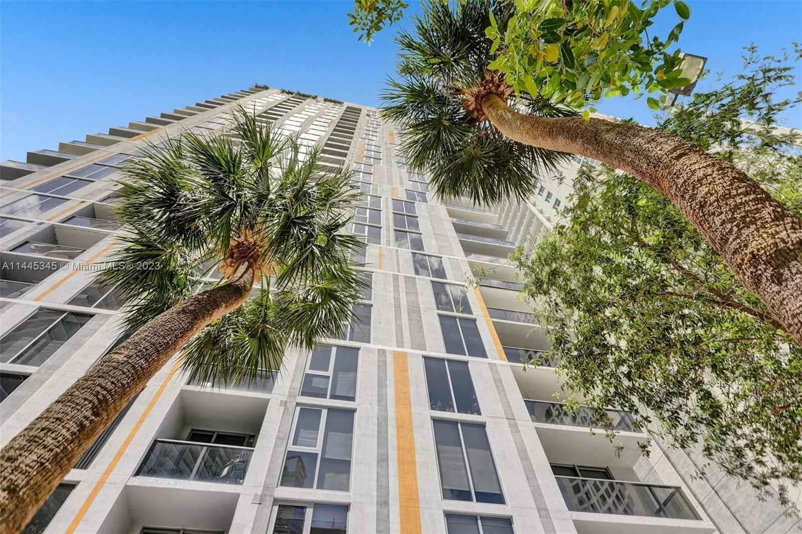 MyBrickell luxury high-rise view from below with palm trees in Miami.