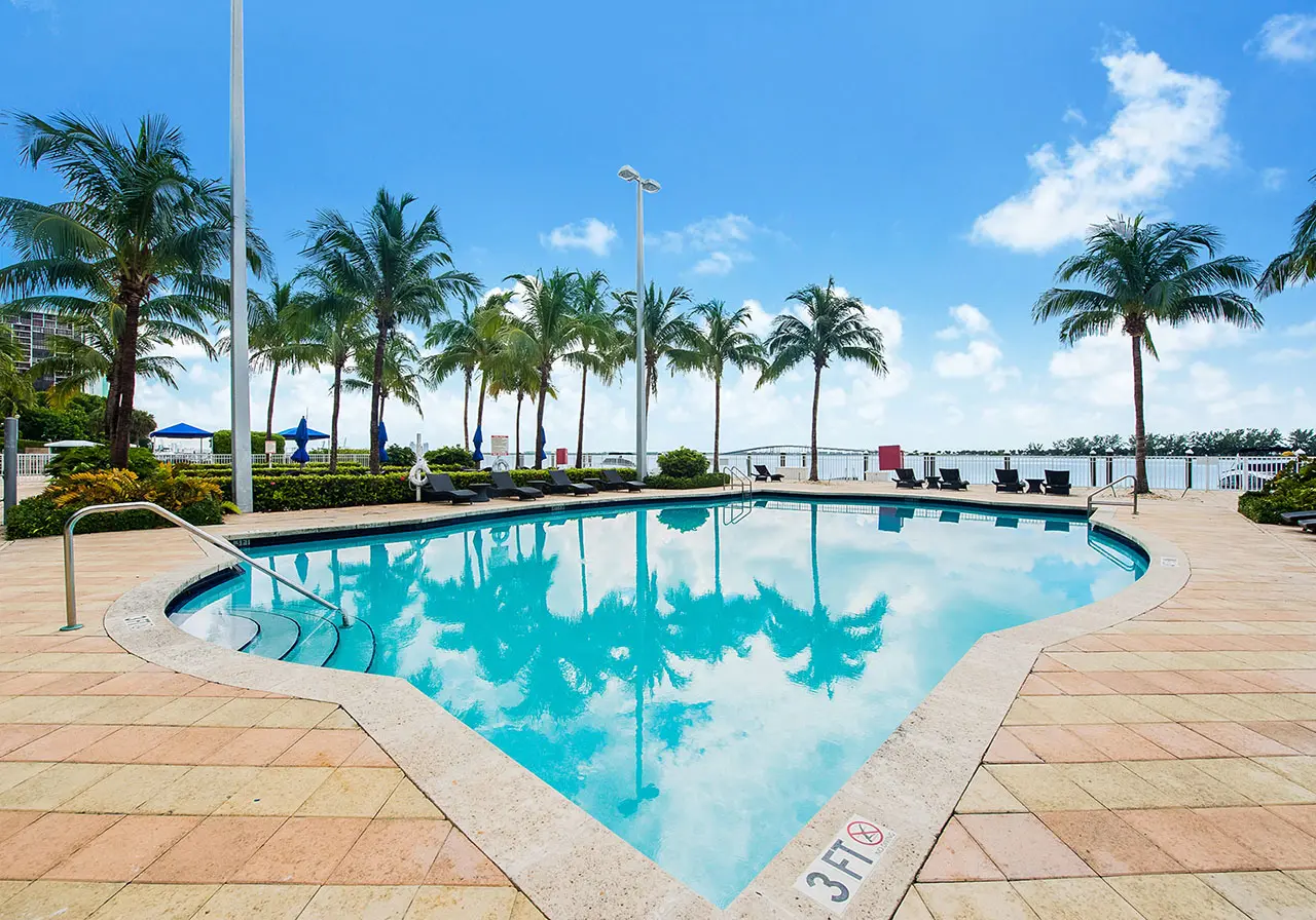 Skyline on Brickell pool with palm trees and waterfront view.